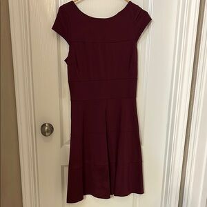 Banana Republic Red Fit and Flare Mini Dress